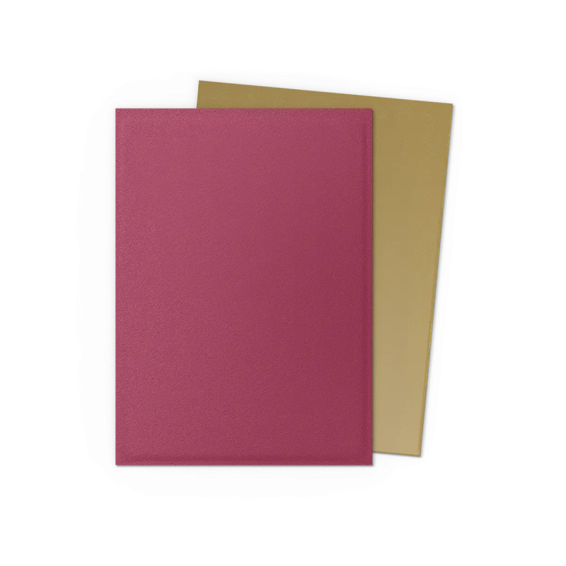 Dragon Shield Standard Matte Dual (100) - 25th Special Edition - Pomegrate/Gold